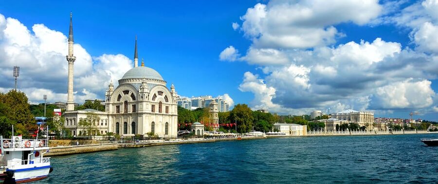 Istanbul: Bosphorus and Black Sea Cruise with Lunch - The Bosphorus stretch: palaces, mosques, bridges, and neighborhood views