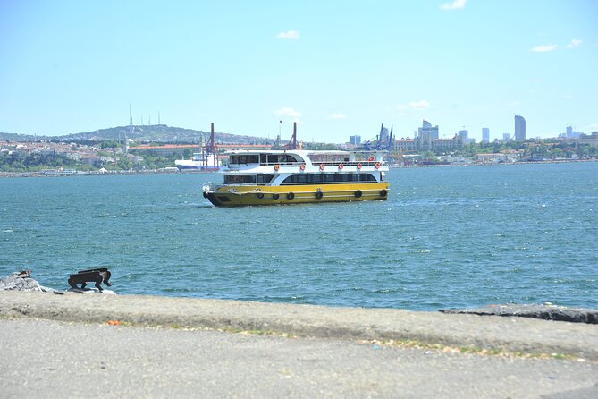 Istanbul: Bosphorus and Golden Horn Cruise with Audio Guide - The sight-by-sight loop: from Galata to Maiden’s Tower