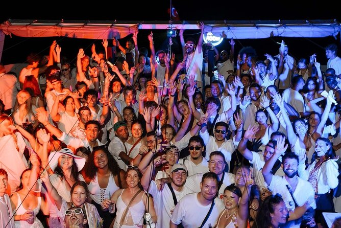 Istanbul Bosphorus Boat Party with Live DJs - Swimming in the Bosphorus and Time on an Island: The Best Non-Dance Moment