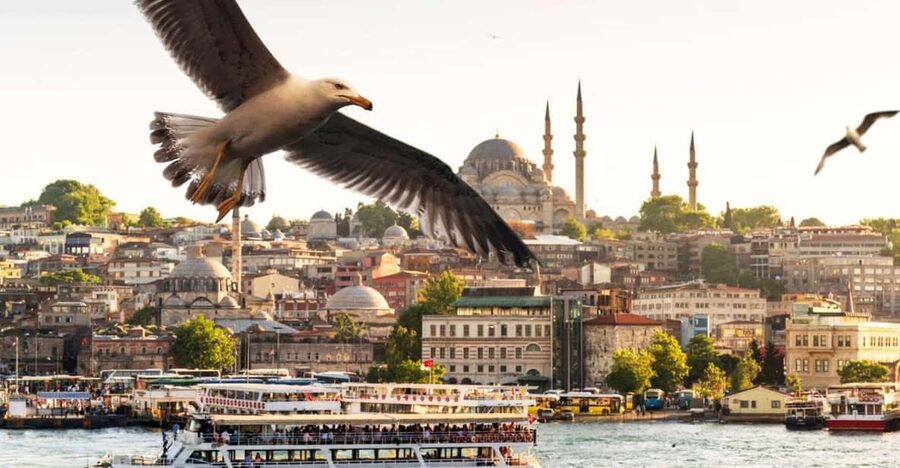 Istanbul: Bosphorus Dinner Cruise with Private Table & Show - Dinner on Board: Turkish Appetizers, Your Main Choice, and Dessert