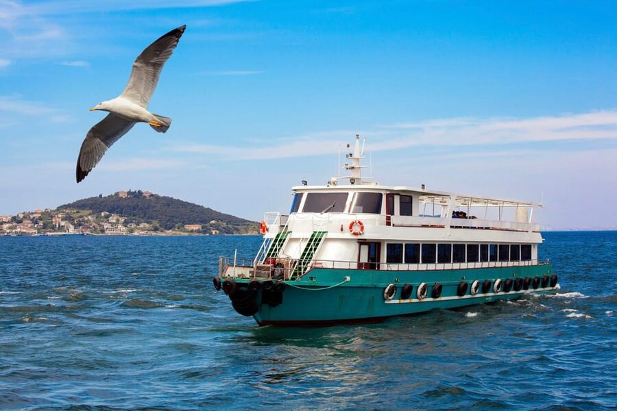 Istanbul: Bosphorus Strait Sightseeing Cruise & Audio Guide - Live guide vs audio guide: how to get the best experience