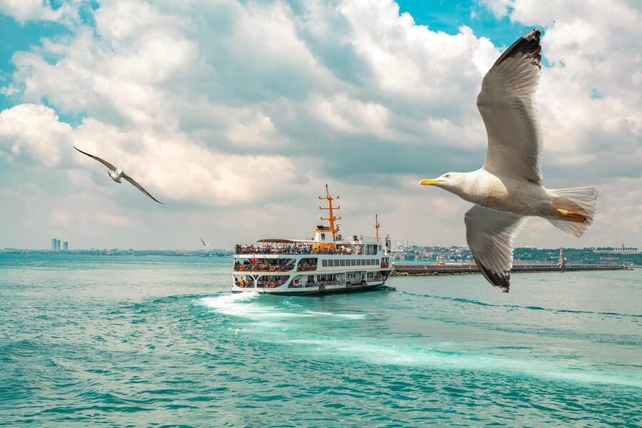 Istanbul: Bosphorus Strait Sightseeing Cruise & Audio Guide - Should you book this Bosphorus Strait sightseeing cruise?
