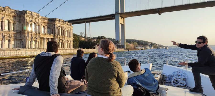 Istanbul: Bosphorus Sunset Cruise on Yacht with Live Guide - What you eat and drink onboard: canapés, fruit, and mint lemonade that won’t disappoint