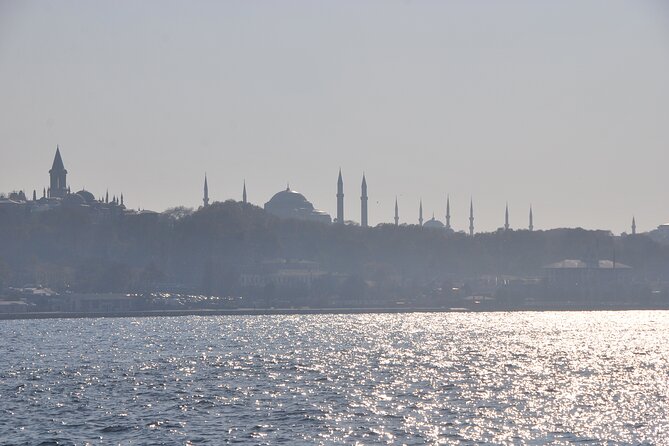 Istanbul: Bosphorus Tour With Whirling Dervish Show - From the Sea to the City: What You See on the Main Bosphorus Leg