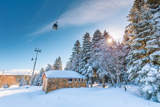 Istanbul: Bursa and Uludag Mountain Day Trip with Cable Car - Lunch on the mountain: BBQ plus a soft-drink reality check