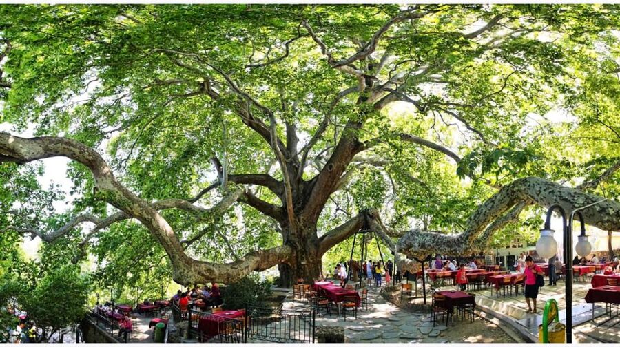 Istanbul: Bursa & Uludag Mountain Day Trip w/ Opt. Cable Car - Key Highlights to Know Before You Go