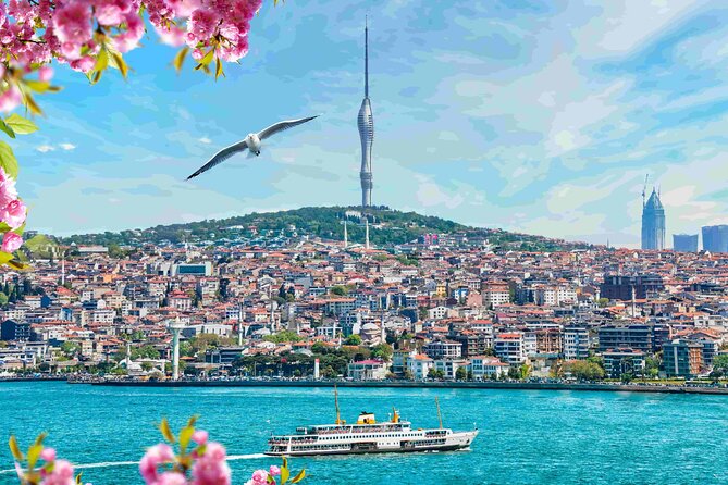Istanbul Camlica Tower: Private Entry, Transfer & Dine Choices - Inside the 360-degree experience: what you can see from up there