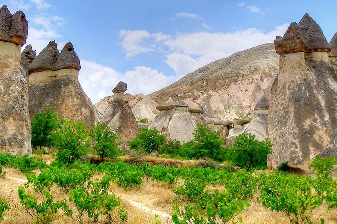 Istanbul & Cappadocia Trip Including Balloon Tour & ATV Quad Tour - Day 3 Ephesus and Sirince: Celsus Library, Grand Theater, then Cappadocia transfer