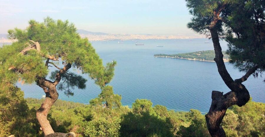 Istanbul: Day Trip to the Princes' Islands - Key points to know before you go