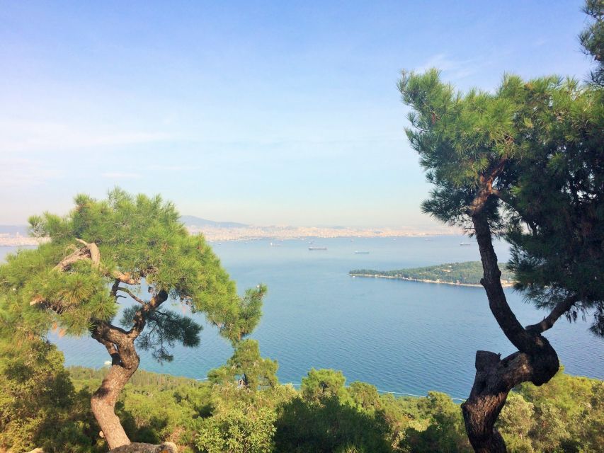 Istanbul: Day Trip to the Princes' Islands - Why the Princes’ Islands feel like a break from Istanbul