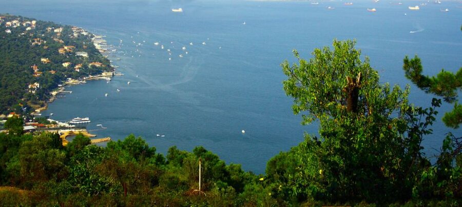 Istanbul: Day Trip to the Princes' Islands - Büyükada walking tour: bay views, pine scenery, and historic streets