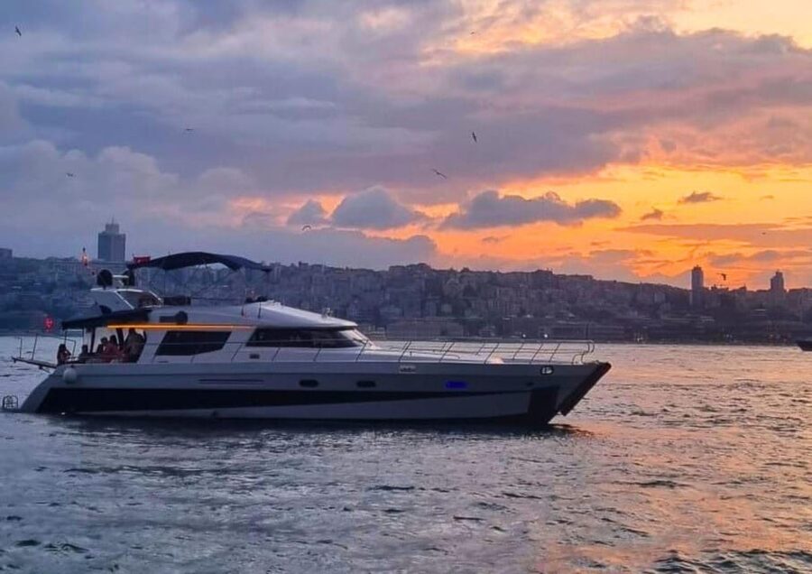 Istanbul: Daytime Bosphorus Yacht Cruise with Fruit & Snacks - Who Should Book This Cruise (and Who Might Want Another Option)