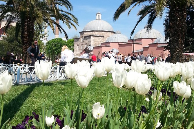 Istanbul Delights: A Journey Through Flavor and History - Blue Mosque inside: Sultan Ahmed Mosque and the tile light show