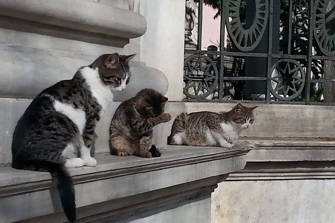 Istanbul Delights: A Journey Through Flavor and History - Hagia Sophia (Ayasofya): museum awe, mosaics, calligraphy, and a big dome