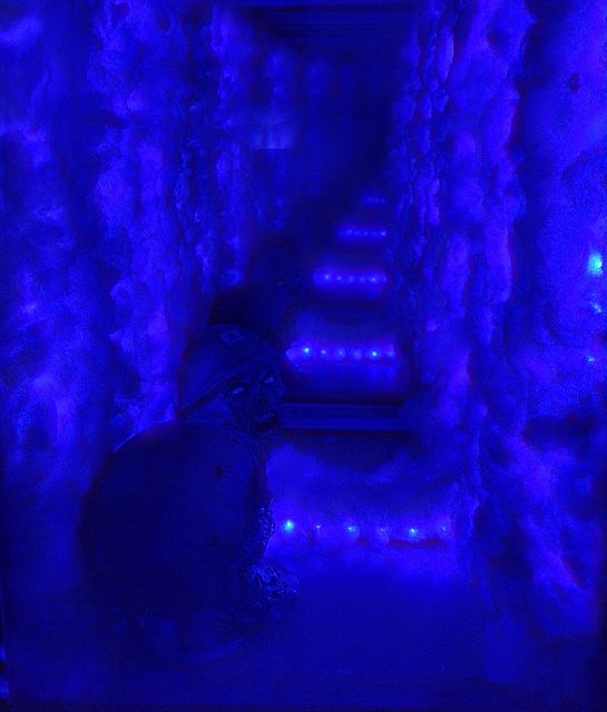 İstanbul: Frankenstein House of Horror, Escape Room Game - Price and value in Istanbul: is $47 per person fair?