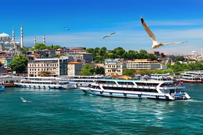 Istanbul Full Day Europe and Asia Sides Tour - The 15 July Martyrs Bridge and fortress viewpoints