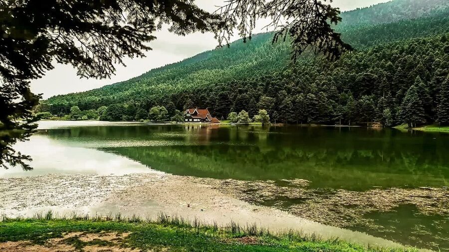Istanbul: Full-Day Sapanca Lake and Masukiye Tour with Lunch - Key things to know before you go