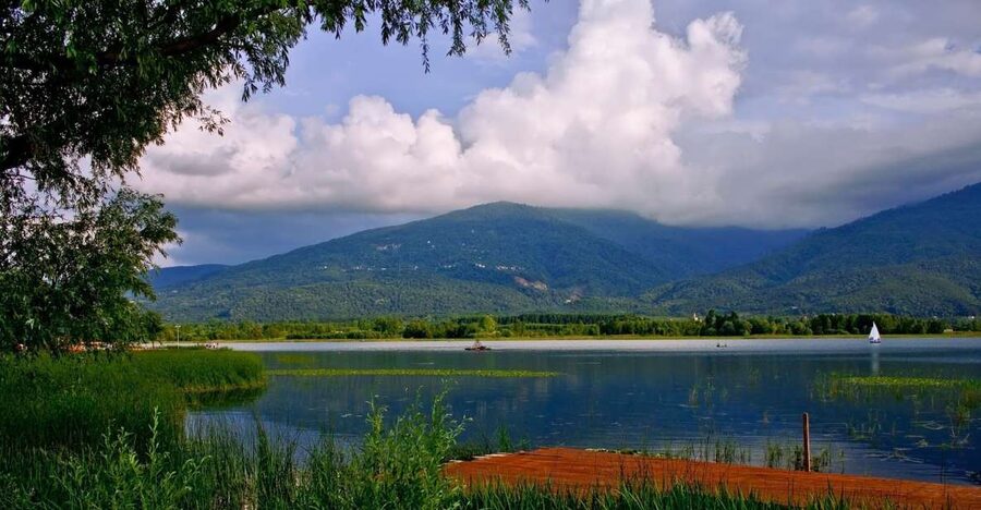Istanbul: Full-Day Sapanca Lake and Masukiye Tour with Lunch - Ormania Natural Habitat Park in summer: animals, fresh air, and optional thrills