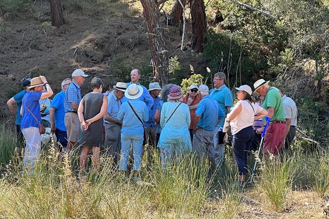 Istanbul Gallipoli Experienced Daily Tour - War Museum to ANZAC Cove: How the Battlefield Stops Are Sequenced