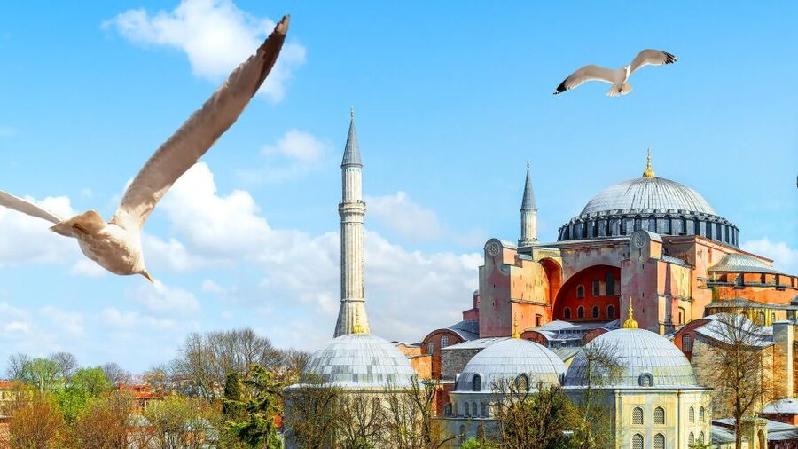 Istanbul: Hagia Sophia, Basilica Cistern & Topkapı Palace - Key things that make this tour worth your time