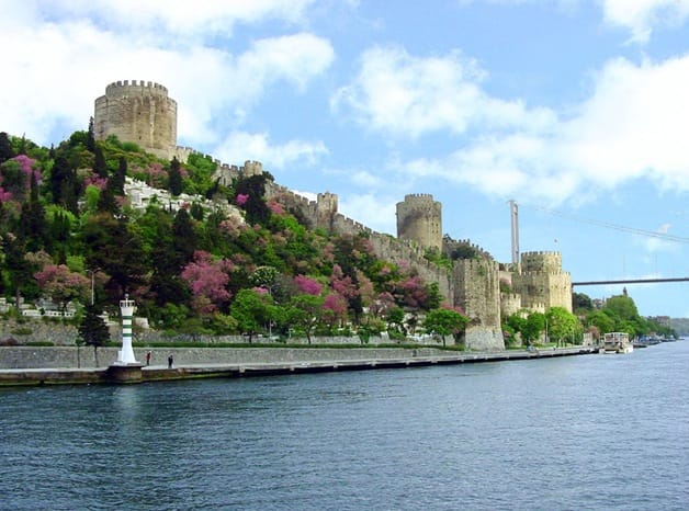 Istanbul Half-Day Tour and Bosphorus Cruise - Quick hits you’ll feel right away