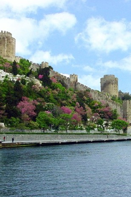 Istanbul Half-Day Tour and Bosphorus Cruise - Istanbul’s two-continent trick, done efficiently in 4 hours
