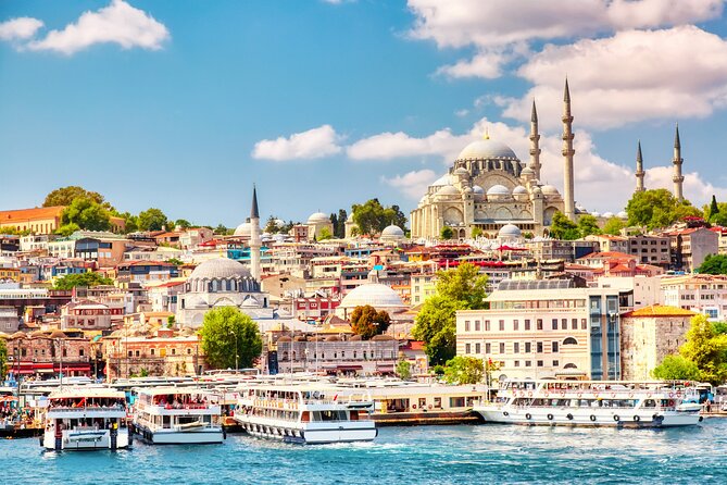 Istanbul Highlight Shore Excursion for Cruise Ship Passengers - Stop 2: Hagia Sophia Grand Mosque and the optional interior