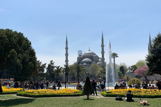 Istanbul Highlights from Cruise Pier with Skip-the-Ticket-Line - Price and Entrance Fees: What You Pay vs. What You Must Budget