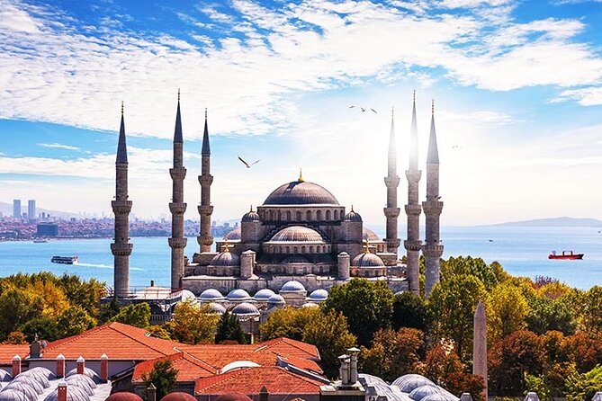 Istanbul Highlights: Half Day Morning Tour - Price and value: what $288.34 is really buying you