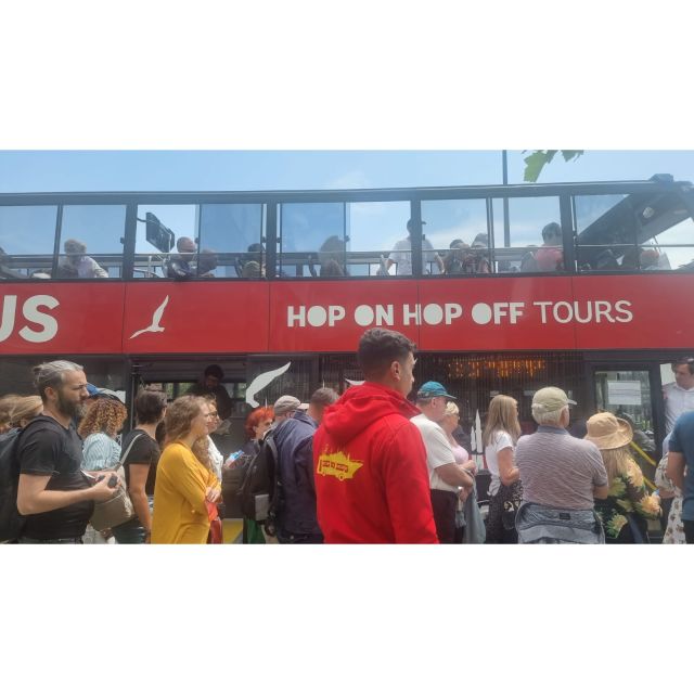 Istanbul Hop On Hop Off Bus24 Hours Ticket - Who this tour suits best (and who should skip it)
