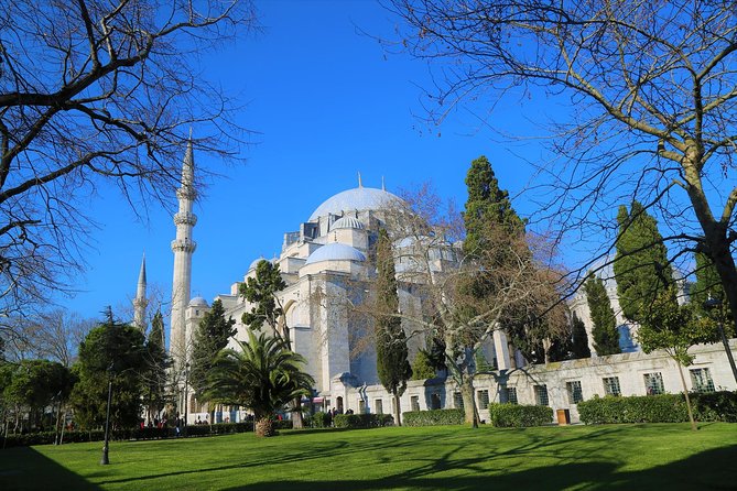 Istanbul Layover Tour: Private & Personalized with Transfers - Transport choices during the day: when to walk, when to taxi