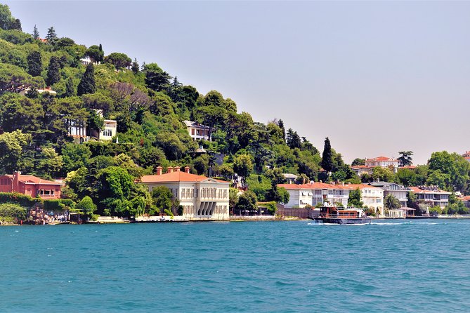Istanbul Lunch Cruise on Bosphorus and Black Sea - Should You Book This Bosphorus Lunch Cruise?