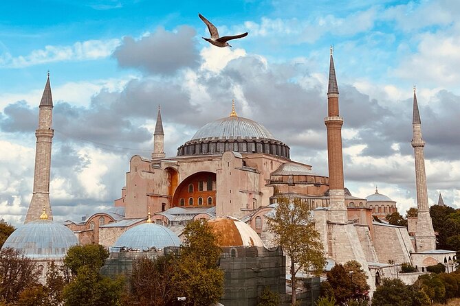 Istanbul Morning Old Town Tour or Afternoon with Bosphorus Cruise - Key highlights
