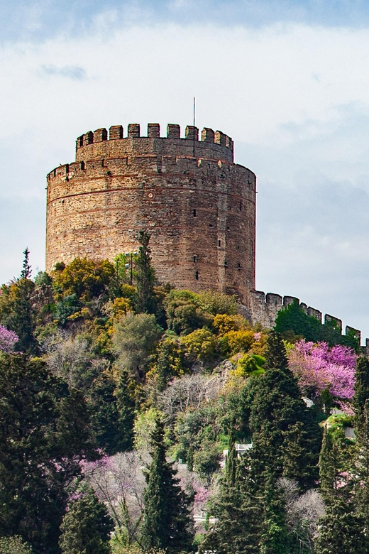 Istanbul: Morning or Sunset Cruise with Guide and Snacks - Dolmabahçe Palace and Ortaköy: getting the skyline in order