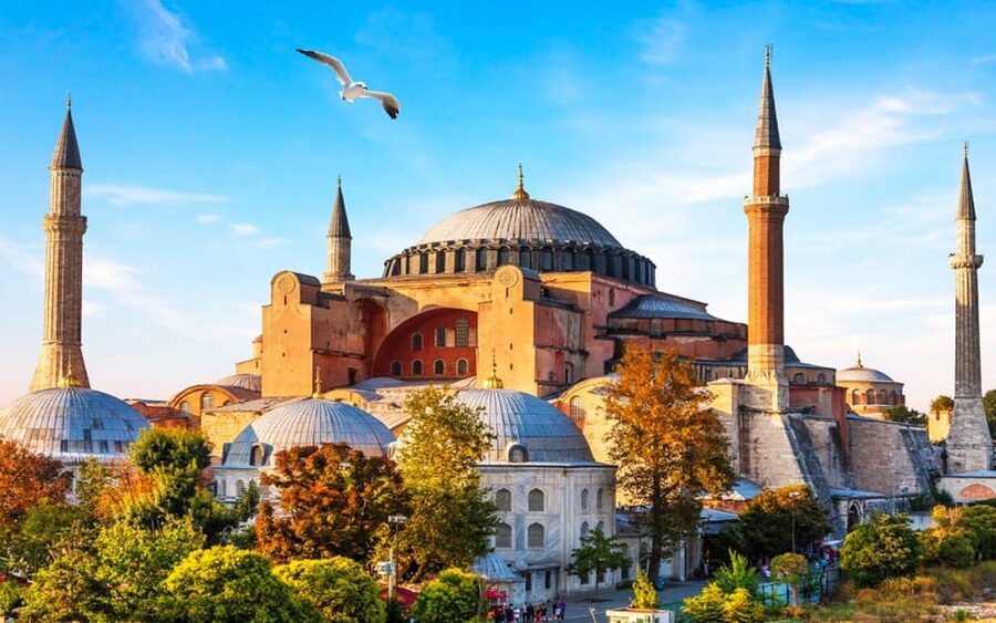 Istanbul: Old City Full-Day Tour -(Entry Fees Inculucing) - Topkapi Palace: Seeing the Ottoman Court, and Why Harem Is Extra