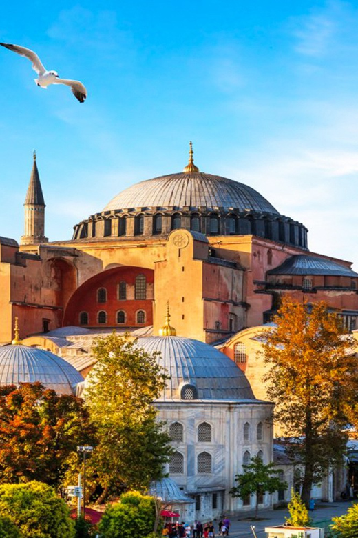 Istanbul: Old City Full-Day Tour -(Entry Fees Inculucing) - Sultan’s Tombs: Ceramic Panels, Flower Motifs, and Occasional Closures
