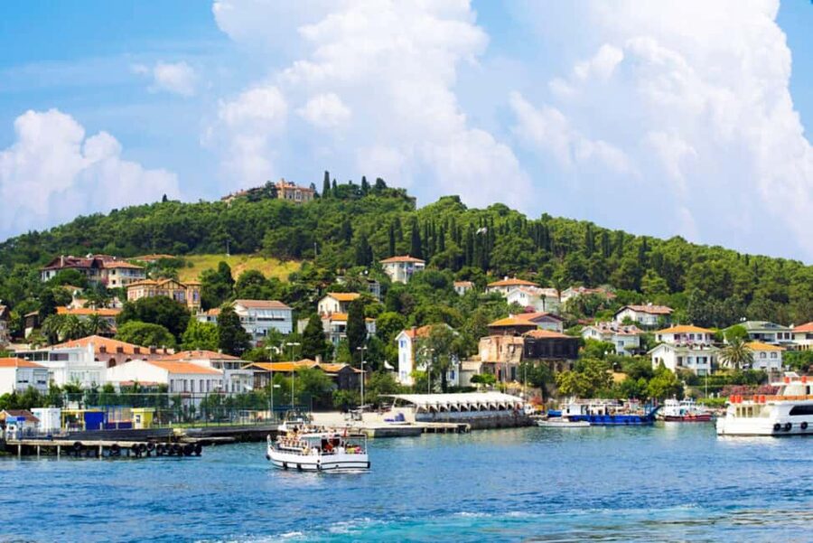 Istanbul Prince Island Cruise with Lunch & Free Time - Who This Tour Suits Best