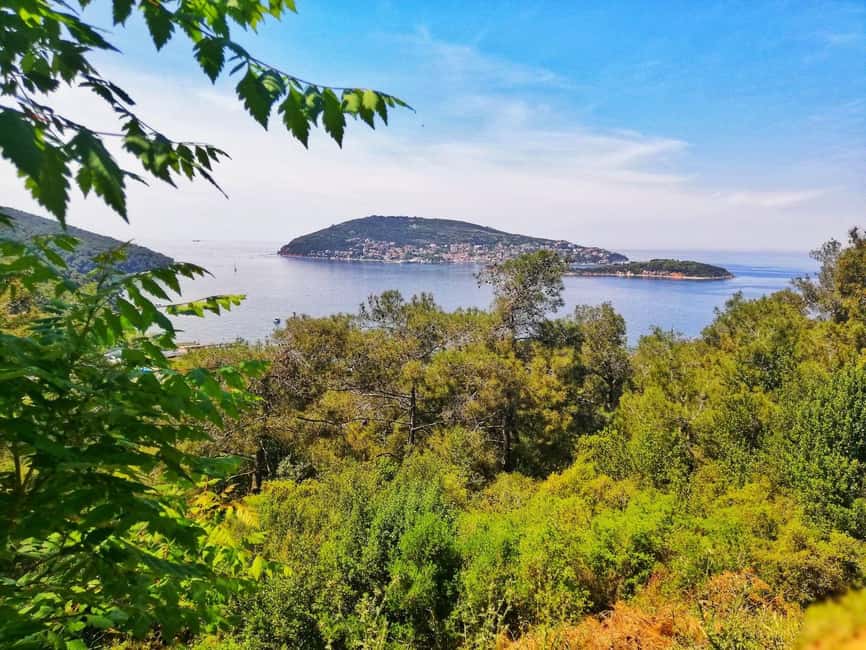 Istanbul: Prince islands Tour w/ Lunch and transfer options - Key things to know before you go