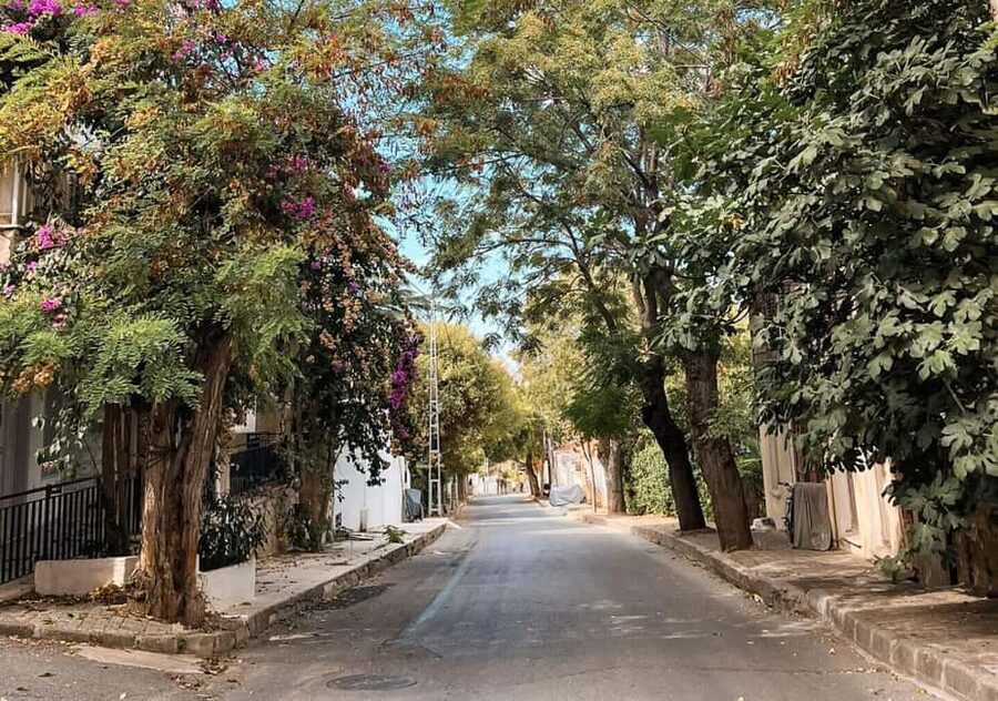 Istanbul: Prince islands Tour w/ Lunch and transfer options - Heybeliada stop: pine-tree calm and your walk-at-your-own-pace time