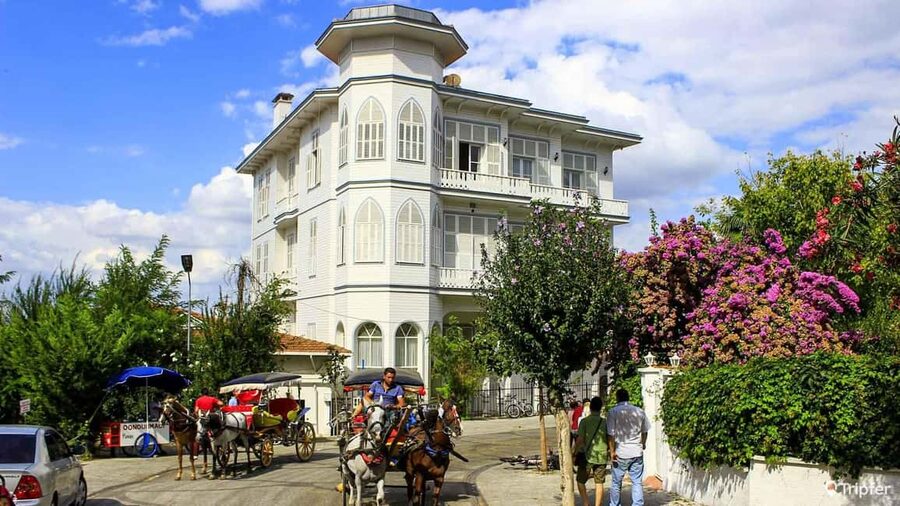 Istanbul: Prince islands Tour w/ Lunch and transfer options - Büyükada exploration: bigger streets, mansions, and options for how you spend time
