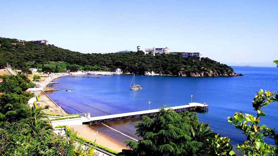 Istanbul: Prince islands Tour w/ Lunch and transfer options - Who this tour suits best (and who should skip it)