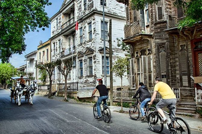 Istanbul Princes Island Tour with Lunch & Hotel Transfer - Boat Comfort and Crowds: What Can Make or Break the Day