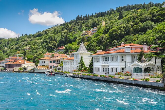 Istanbul Princes’ Islands Boat Trip with Lunch - A Day That Starts in Istanbul and Ends on Island Time