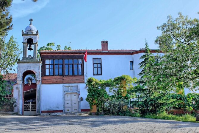 Istanbul Princes’ Islands Boat Trip with Lunch - Horse-Drawn Carriage vs Golf Cart Reality on the Island