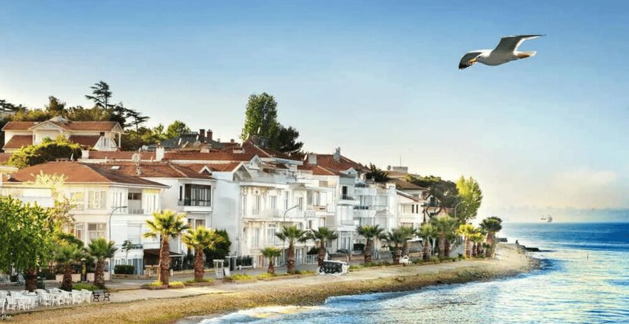 Istanbul: Princes Islands Tour with Heybeliada and Buyukada - Who this Princes’ Islands day trip suits best