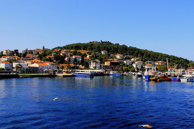 Istanbul: Princes Islands Tour with Heybeliada and Buyukada - The return cruise with music: fun, not just transport