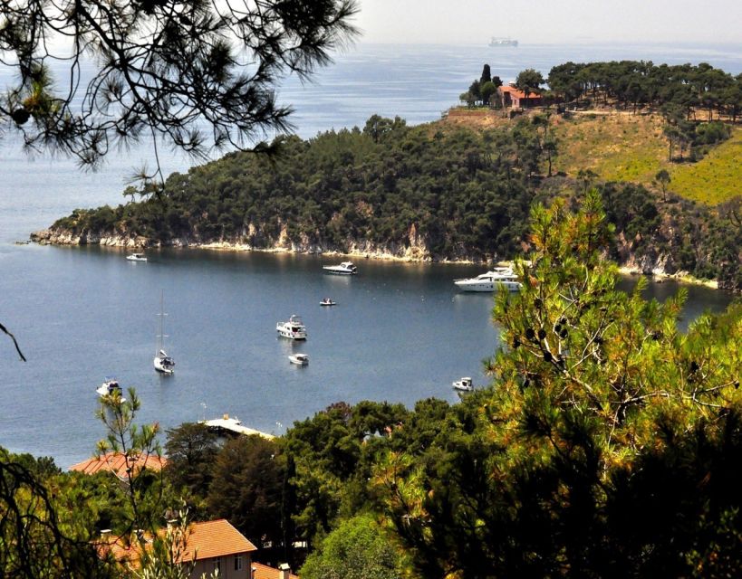 Istanbul: Princes' Islands Tour with Lunch and Transfers - Heybeliada or Kınalıada: What You’ll Actually Do on the Second Stop