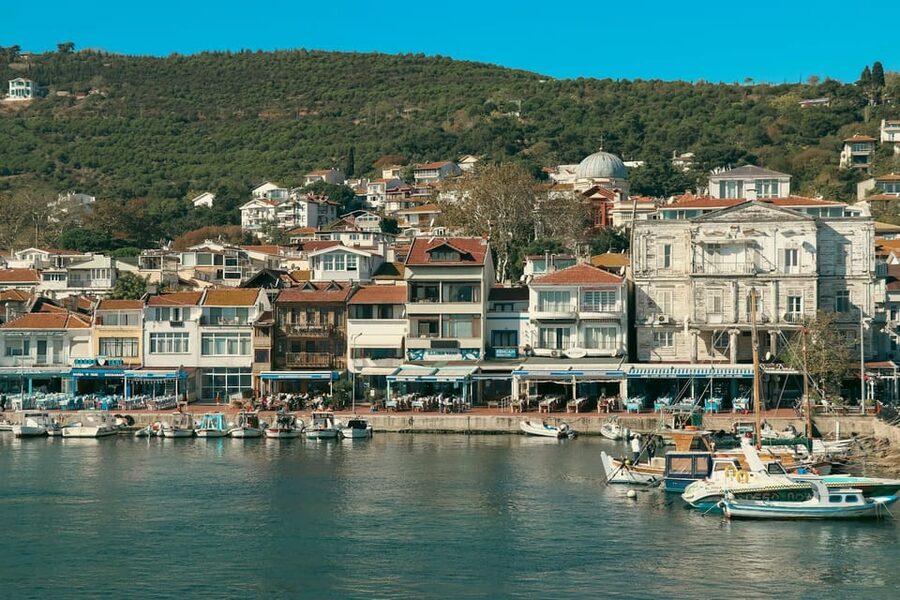 Istanbul: Princes Islands Walking Full-Day Tour - A Day Off the City: Ferry Time and Island Quiet