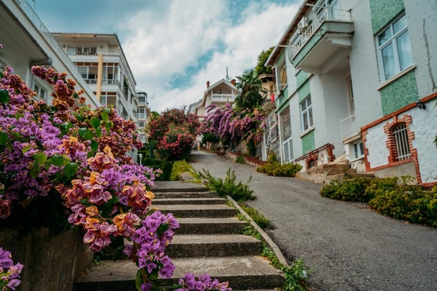 Istanbul: Princes Islands Walking Full-Day Tour - Arriving in Büyükada: No Cars, Ottoman Mansions, and a Walk That Feels Like Discovery