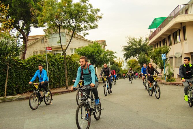 Istanbul Princess Island Tour Include Lunch and Island Car Trip - Büyükada Tabiat Parkı and the Electric-Car Segment